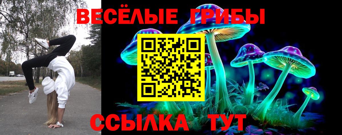 Галлюциногенные грибы мухоморы  Псилоцибиновые грибы Psilocybe  Вход с VPN  Кемерово 